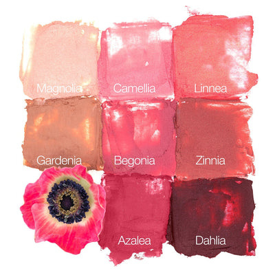 Zinnia – Rosy Tomato Red