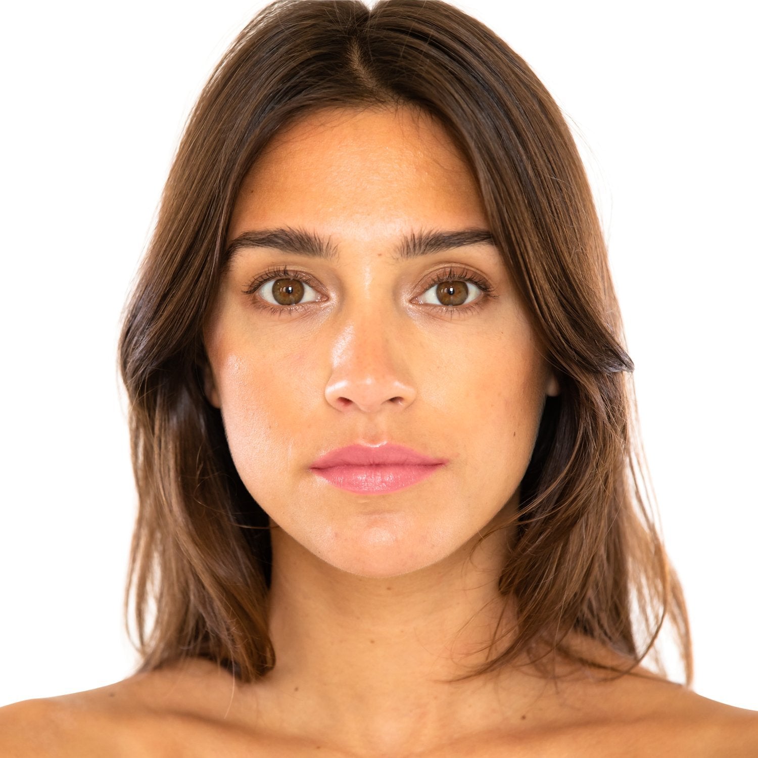 Camellia – Classic Pink